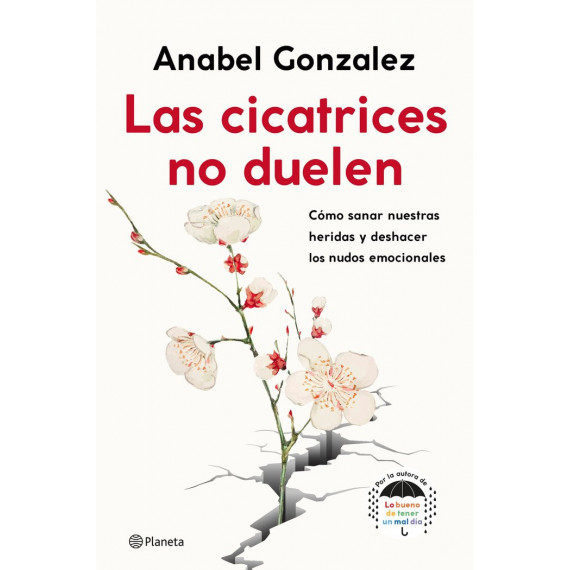 Las cicatrices no duelen