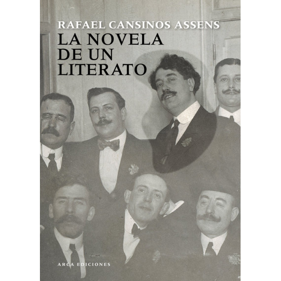 La novela de un literato