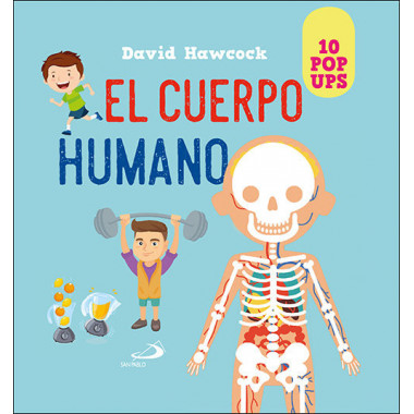 EL CUERPO HUMANO