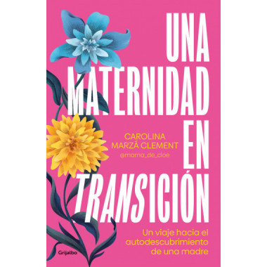 UNA MATERNIDAD EN TRANSICION