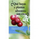 �QU� BAYAS Y PLANTAS SILVESTRES SON ESTAS?
