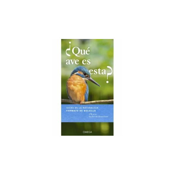 �QU� AVE ES ESTA?