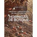 HORMIGAS DE BOSQUE