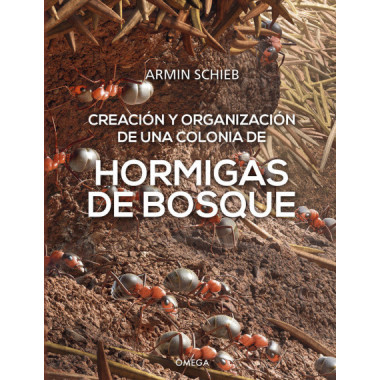 HORMIGAS DE BOSQUE