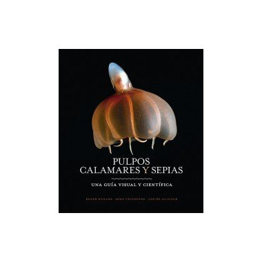 PULPOS, CALAMARES Y SEPIAS