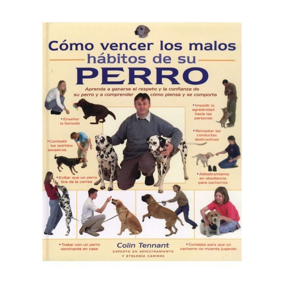 COMO VENCER LOS MALOS HABITOS DE SU PERRO