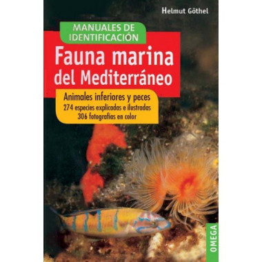 FAUNA MARINA DEL MEDITERRANEO