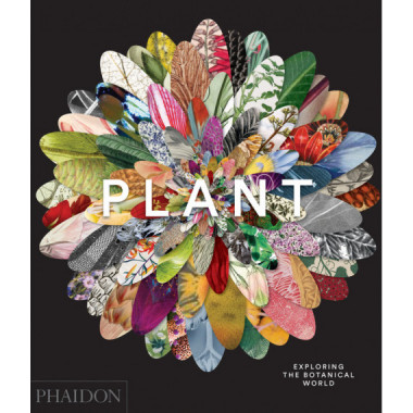 PLANT: EXPLORING THE BOTANICAL WORLD