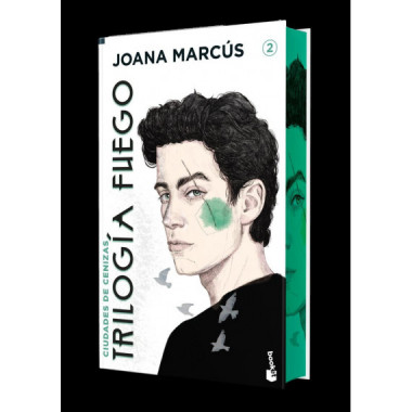 CIUDADES DE CENIZAS EDICION ESPECIAL CON CANTOS DECORADOS