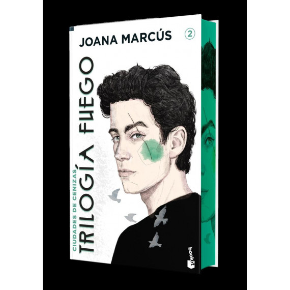 CIUDADES DE CENIZAS EDICION ESPECIAL CON CANTOS DECORADOS