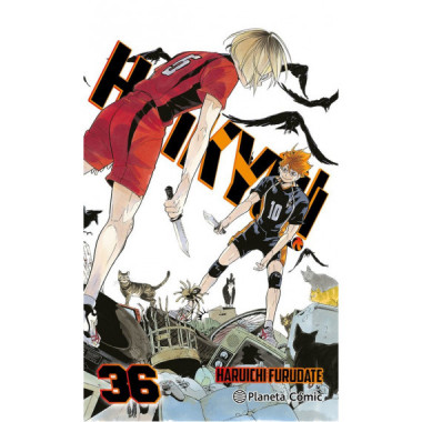 HAIKYU 36