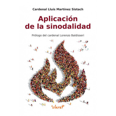 APLICACION DE LA SINODALIDAD