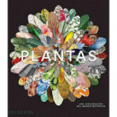 PLANTAS. UNA EXPLORACION DEL MUNDO BOTANICO