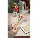 Maqueta Clavel  ROLIFE