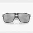 Gafas OAKLEY Holbrook Xl