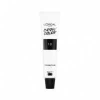L'OREAL Brow Tint