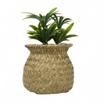 Terraza Y Jardín Planta 3513431