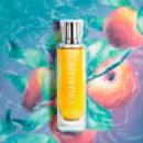 Casablanca  SWISS ARABIAN