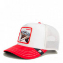 Gorra Suede Snake  GOORIN BROS