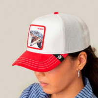 Gorra Suede Snake  GOORIN BROS