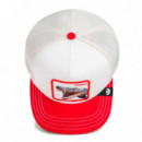 Gorra Suede Snake  GOORIN BROS