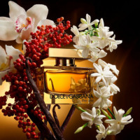 The One Intense Eau de Parfum  DOLCE & GABBANA