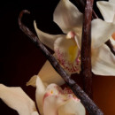 The One Intense Eau de Parfum  DOLCE & GABBANA