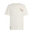 ADIDAS ORIGINALS - Mascot Tee Piq - Clowhi - KE2037/CLOWHI