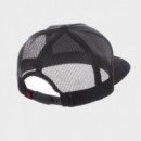 Gorra POWELL PERALTA Ripper