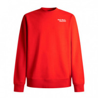 Sudadera Cuello Redondo Fit Comfort  RED BULL RACING