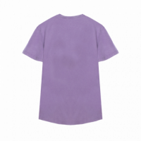 Camisetas Hombre Camiseta ARICA Básica Aubergine