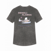 Camisetas Hombre Camiseta ARICA Denali Grey