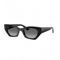 Gafas de Sol Rayban RB4430  RAY-BAN
