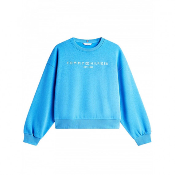 TOMMY HILFIGER - Corp Logo Mdrn Swtsrt - C4H - F|WW0WW47831/C4H