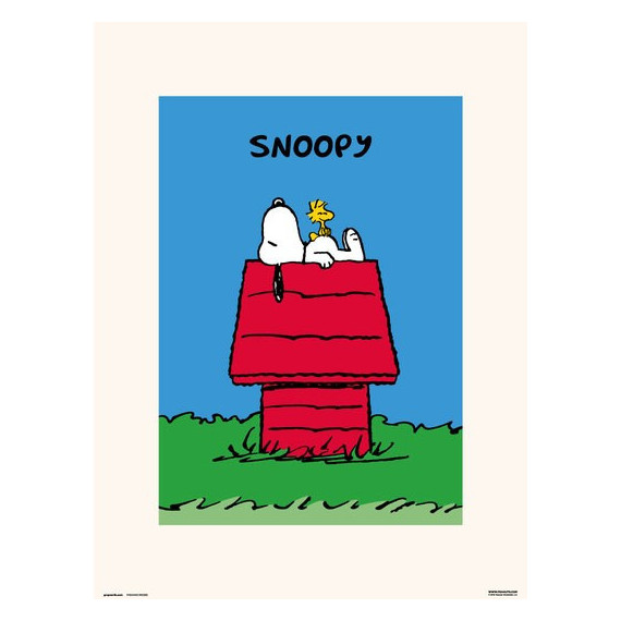 Lámina Snoopy Doghouse  GRUPO ERIK