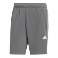 Shorttrain Essentials All Set Training  ADIDAS