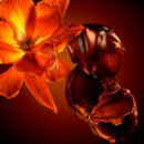 The Scent Intense  HUGO BOSS