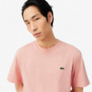 Tee-shirts Miami  LACOSTE