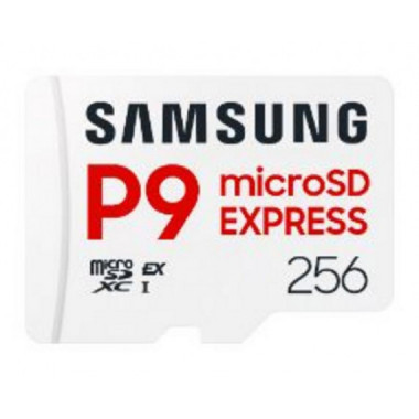 Samsung Micro SDXC P9 Express 256GB (MB-MK256T/WW)