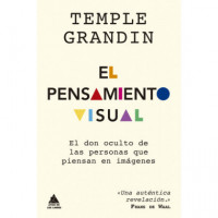 el Pensamiento Visual