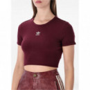 ADIDAS ORIGINALS - ESS RIB TEE - MAROON - KD3838/MAROON