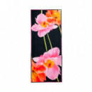 Foulard Lirio  DESIGUAL