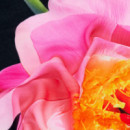 Foulard Lirio  DESIGUAL