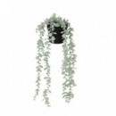 Terraza Y Jardín Planta 3513408