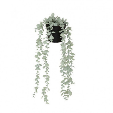 Terraza Y Jard&iacute;n Planta 3513408