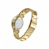 MARK MADDOX Reloj Greenwich Verde MM1019-67