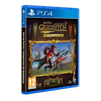 Quidditch Champions PS4  PLAION