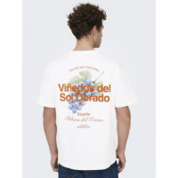 Camisetas Hombre Camiseta ONLY&SONS Fred Viñedos