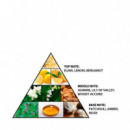 L'aventure  AL HARAMAIN