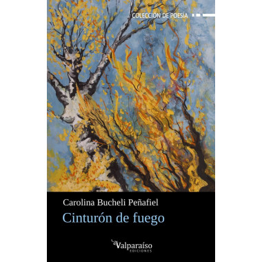 CINTURON DE FUEGO